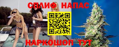 СК Будённовск