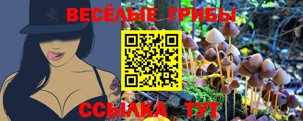 Галлюциногенные грибы GOLDEN TEACHER Новозыбков