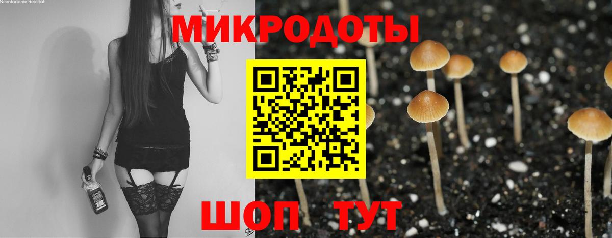 где можно купить   Вход с VPN  Новозыбков  Галлюциногенные грибы Cubensis  Галлюциногенные грибы Magic Shrooms 